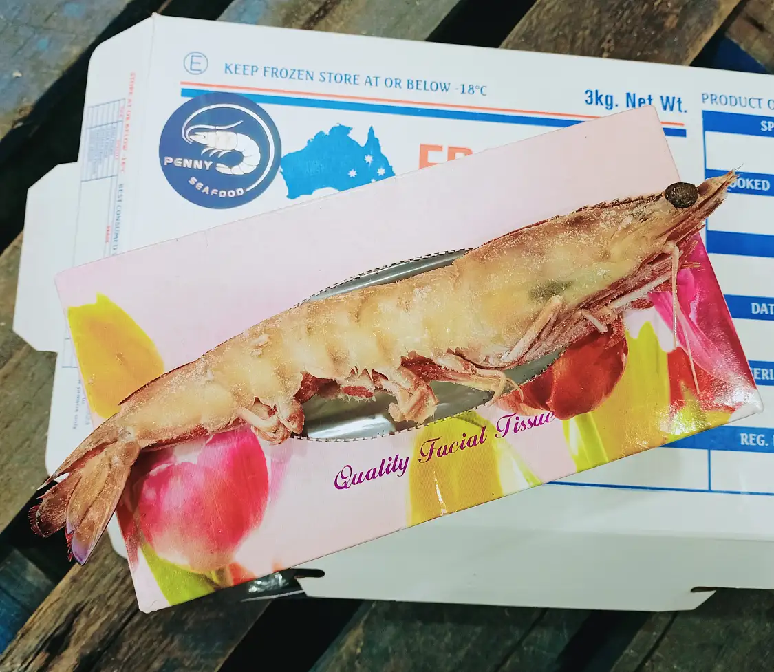 (超級大隻) 崑士蘭 帝王蝦 Wild Caught Ocean King Prawn 2kg