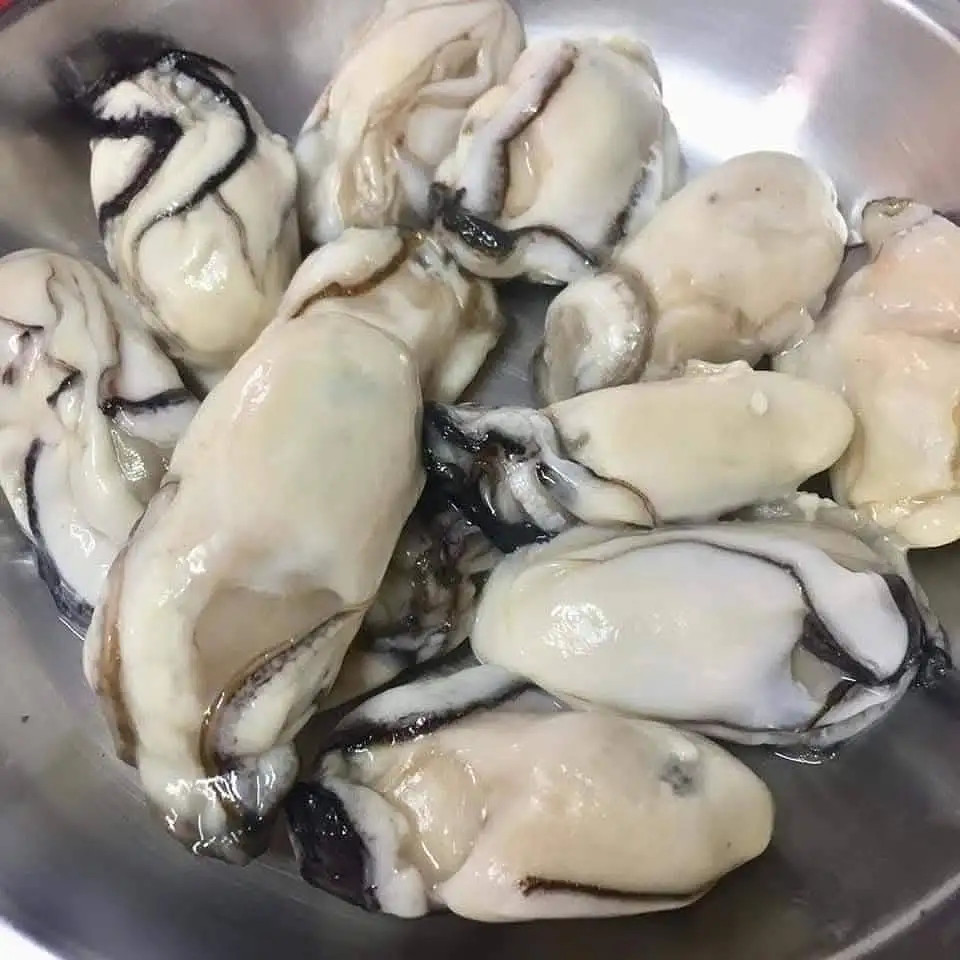日本 廣島蠔肉  Kanika Oyster Meat 850g