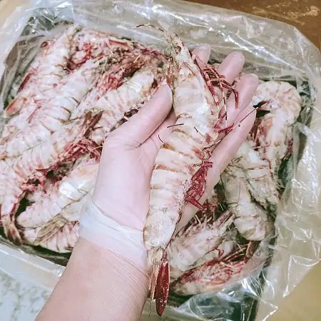 昆士蘭 U8 野生大虎蝦 Wild Caught Tiger Prawn 1kg
