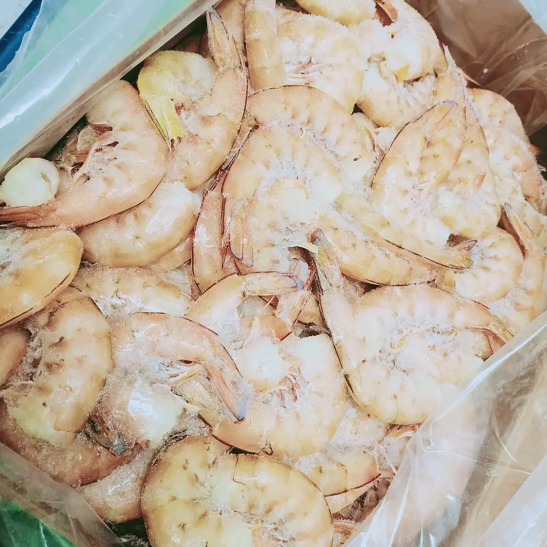 澳洲 去頭野生帝王蝦 Wiid Caught Headless King Prawn 500g