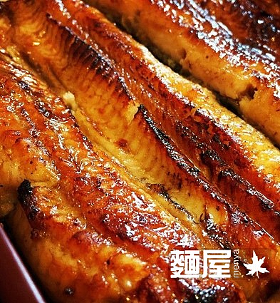 Unagi - Grilled Eel (うなぎの蒲焼) 净鳗鱼.