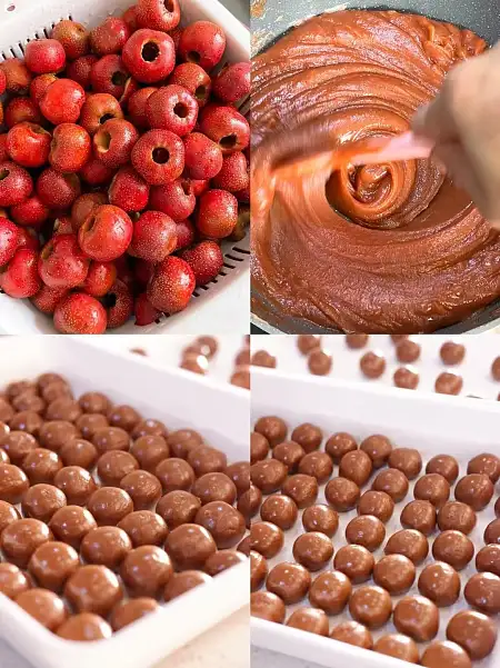 💯【山楂健脾丸】健脾养胃