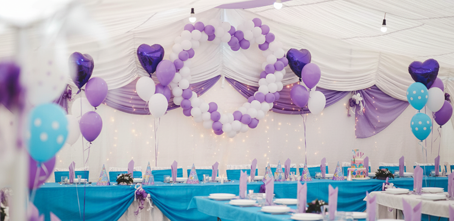 Party Venue Management