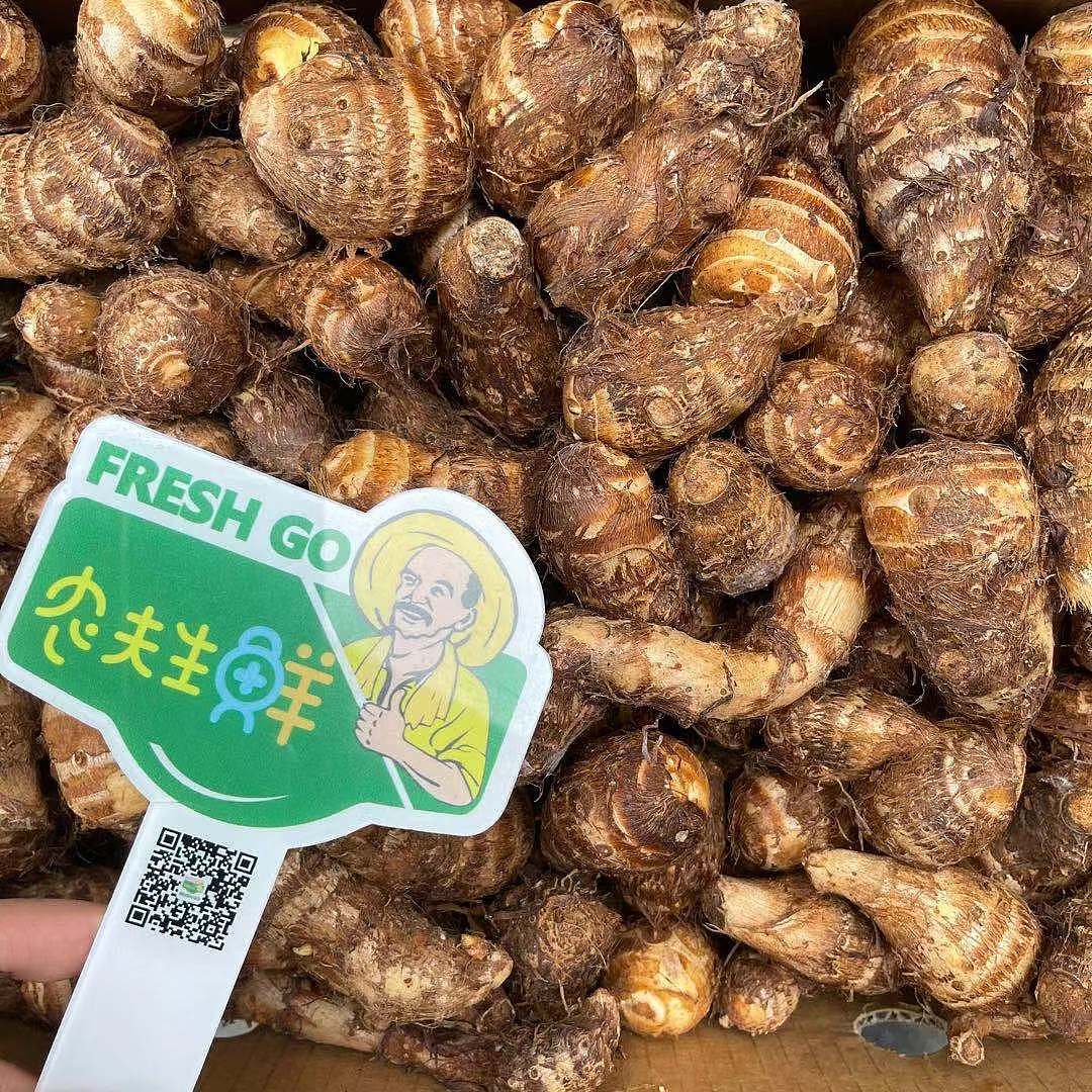 lm_image___2zfov swiper-item-image___2SBSc cover___2hGtr