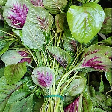 lm_image___2zfov swiper-item-image___2SBSc cover___2hGtr