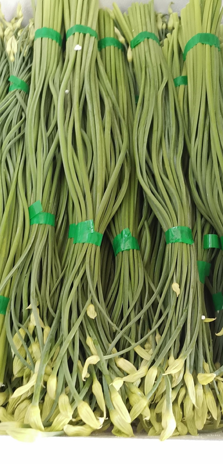 lm_image___2zfov swiper-item-image___2SBSc cover___2hGtr