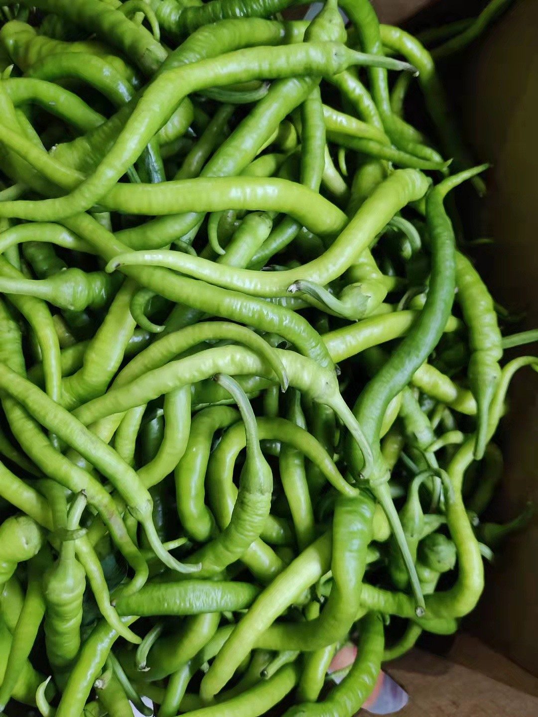 lm_image___2zfov swiper-item-image___2SBSc cover___2hGtr