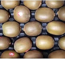 lm_image___2zfov swiper-item-image___2SBSc cover___2hGtr