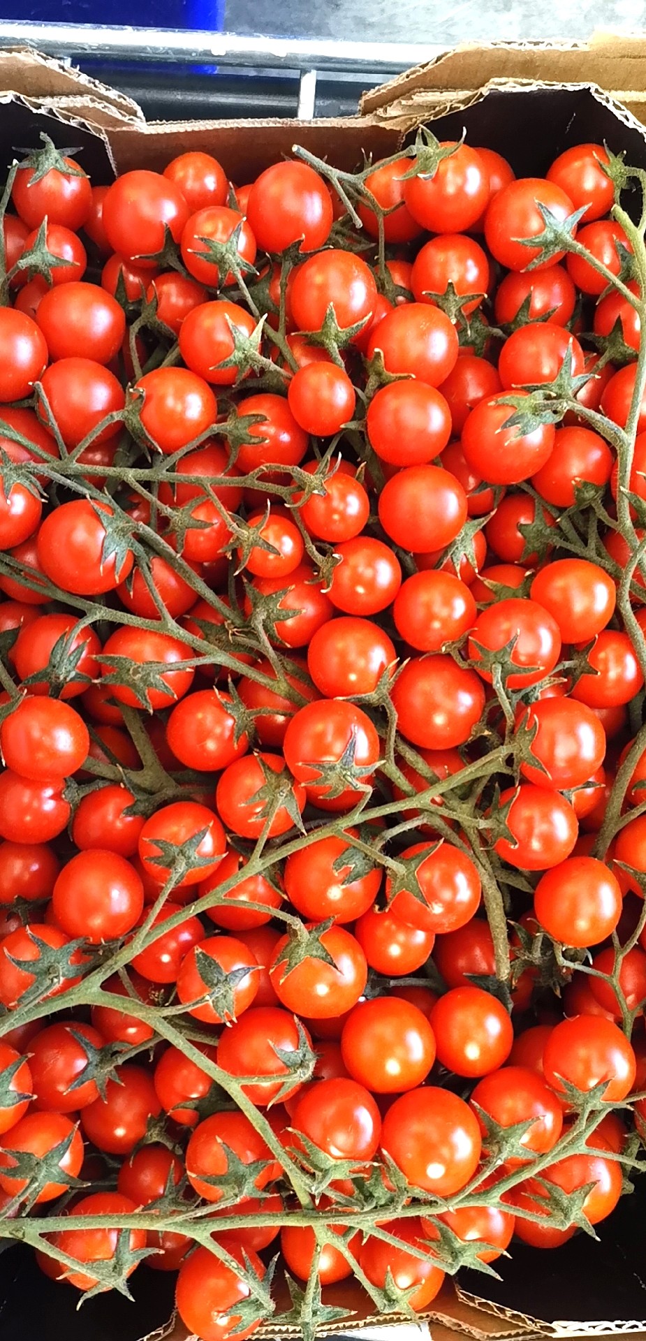 lm_image___2zfov swiper-item-image___2SBSc cover___2hGtr