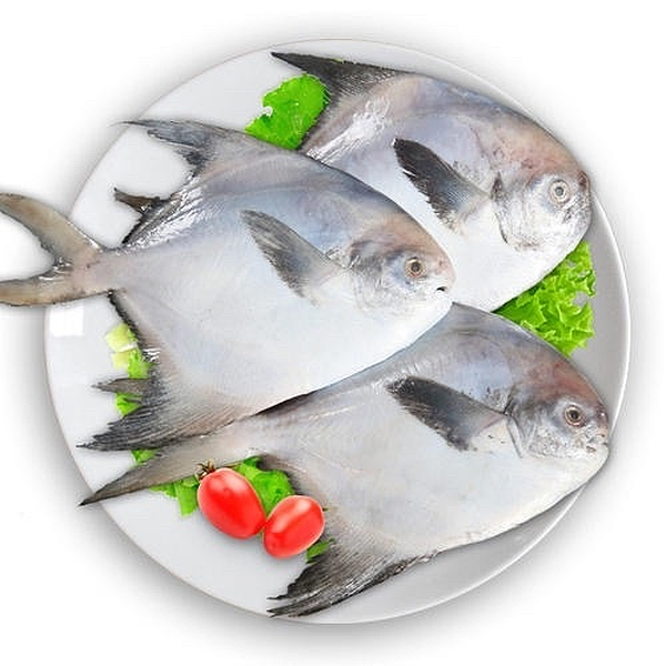 lm_image___2zfov swiper-item-image___2SBSc cover___2hGtr