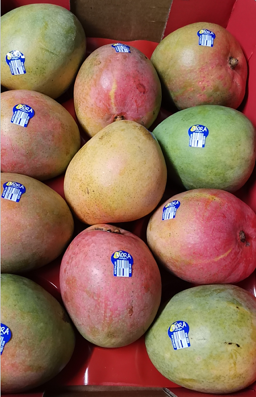 lm_image___2zfov swiper-item-image___2SBSc cover___2hGtr