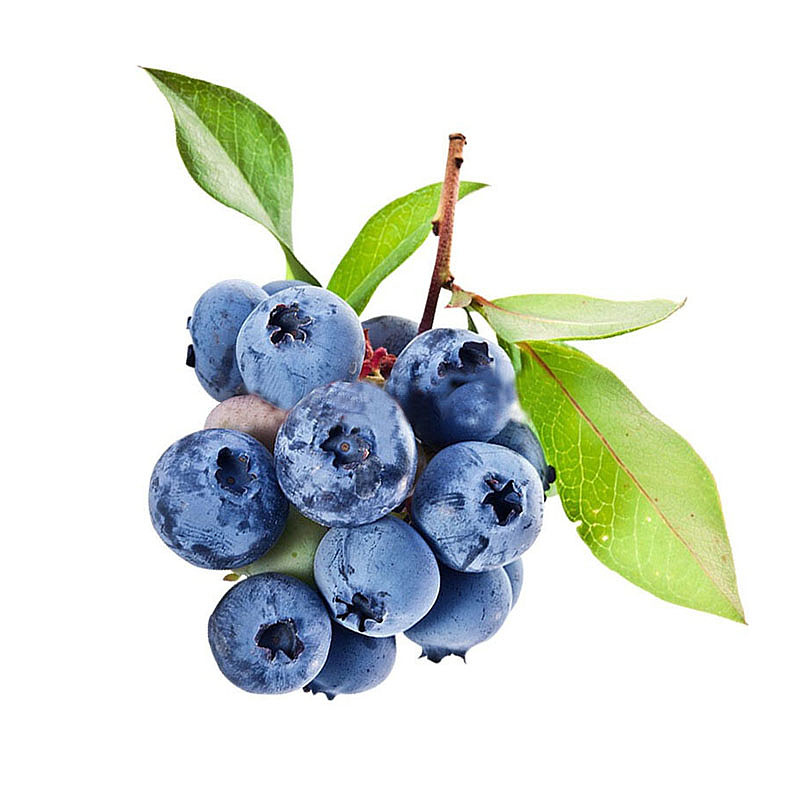 lm_image___2zfov swiper-item-image___2SBSc cover___2hGtr