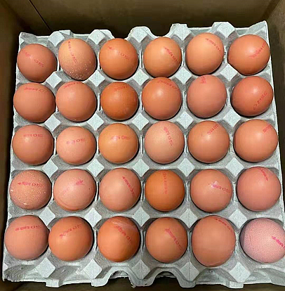 lm_image___2zfov swiper-item-image___2SBSc cover___2hGtr