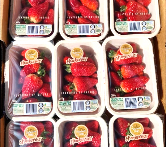 lm_image___2zfov swiper-item-image___2SBSc cover___2hGtr