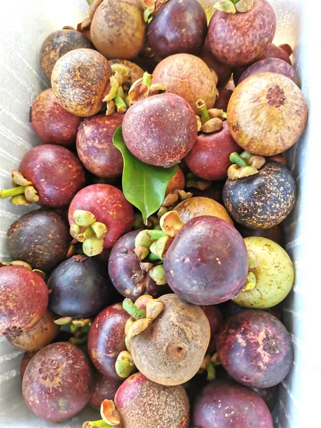 lm_image___2zfov swiper-item-image___2SBSc cover___2hGtr