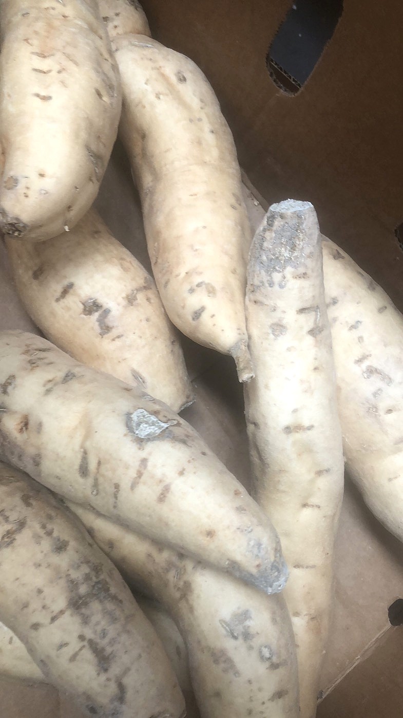 lm_image___2zfov swiper-item-image___2SBSc cover___2hGtr