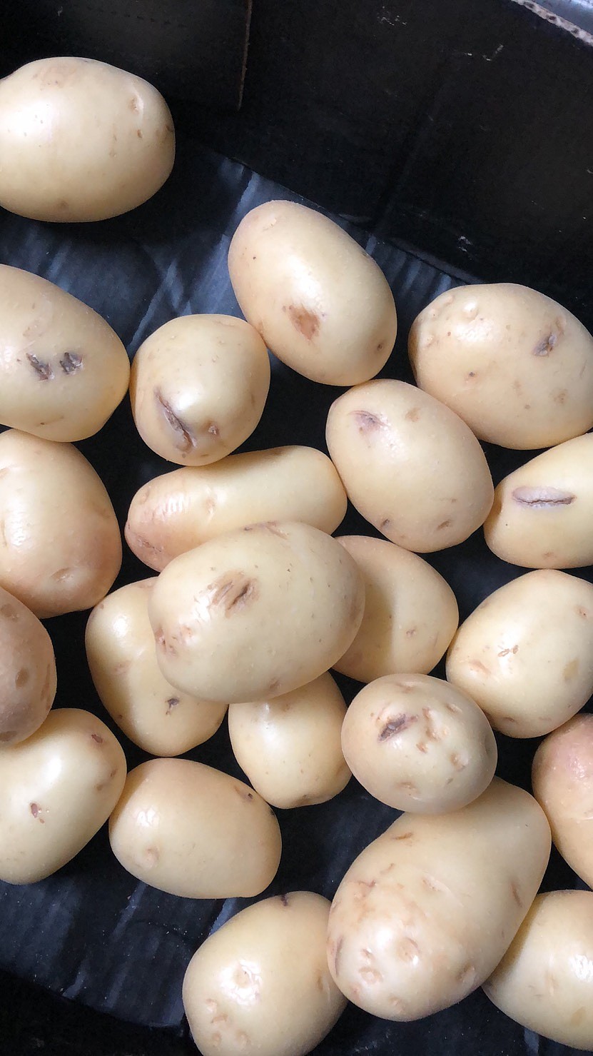 lm_image___2zfov swiper-item-image___2SBSc cover___2hGtr