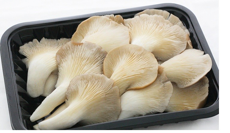 lm_image___2zfov swiper-item-image___2SBSc cover___2hGtr