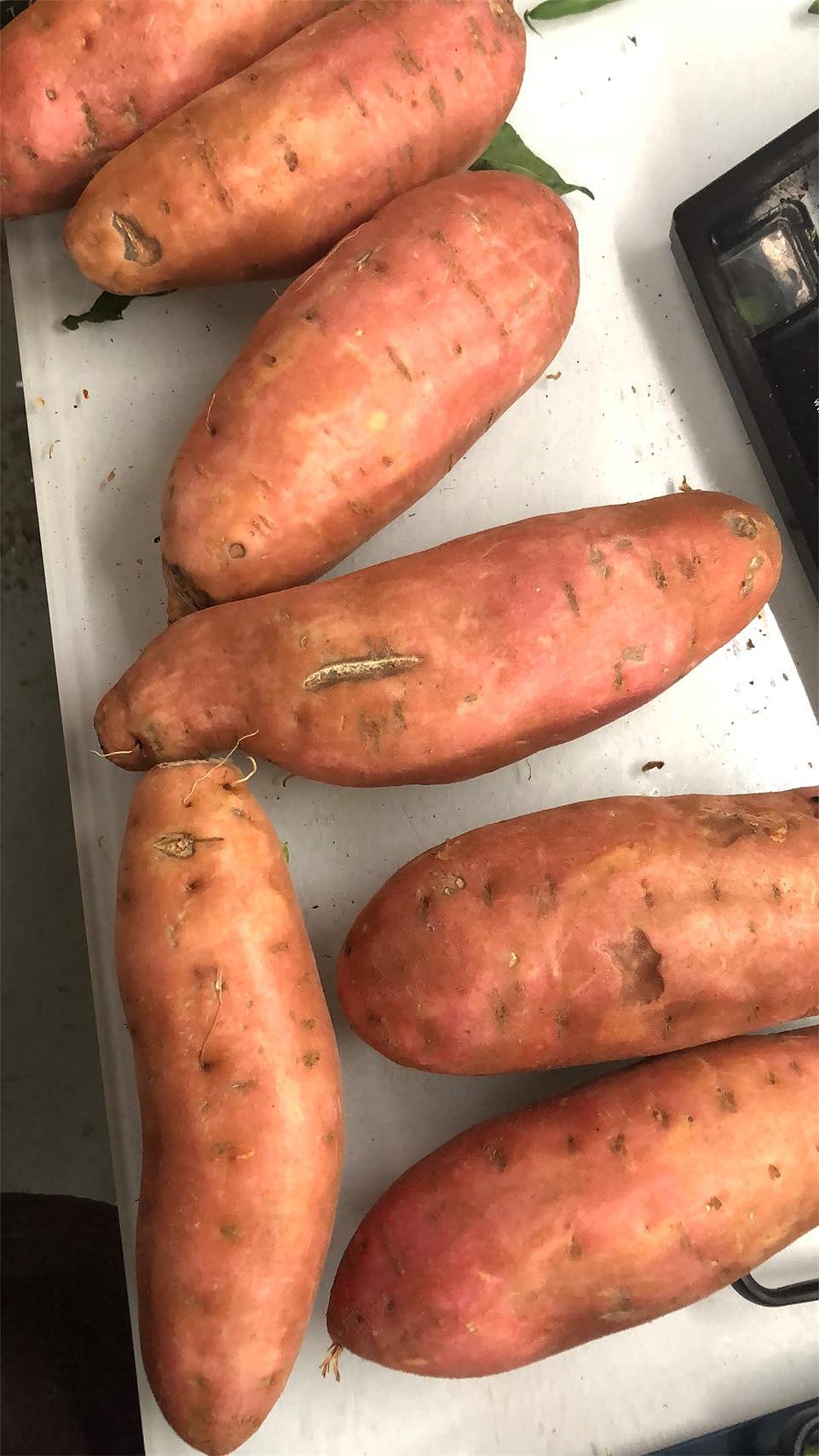 lm_image___2zfov swiper-item-image___2SBSc cover___2hGtr