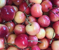 lm_image___2zfov swiper-item-image___2SBSc cover___2hGtr