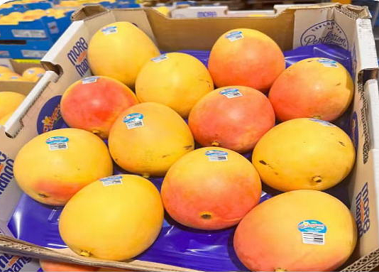 lm_image___2zfov swiper-item-image___2SBSc cover___2hGtr