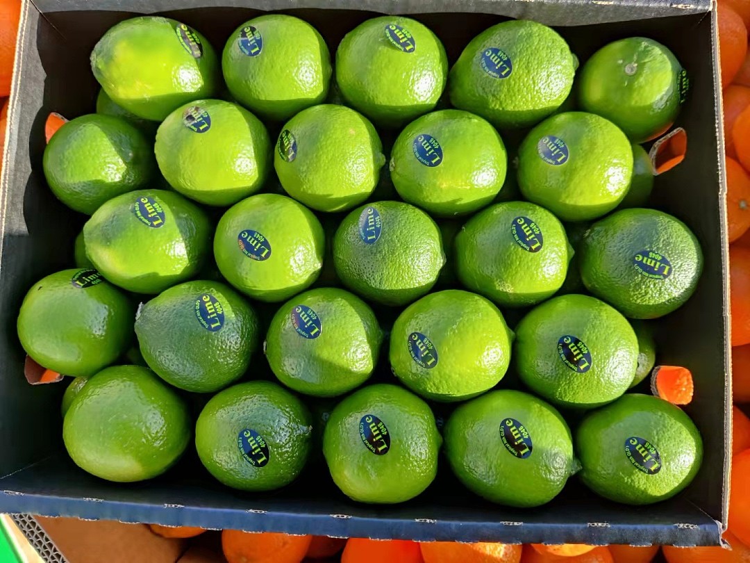 lm_image___2zfov swiper-item-image___2SBSc cover___2hGtr