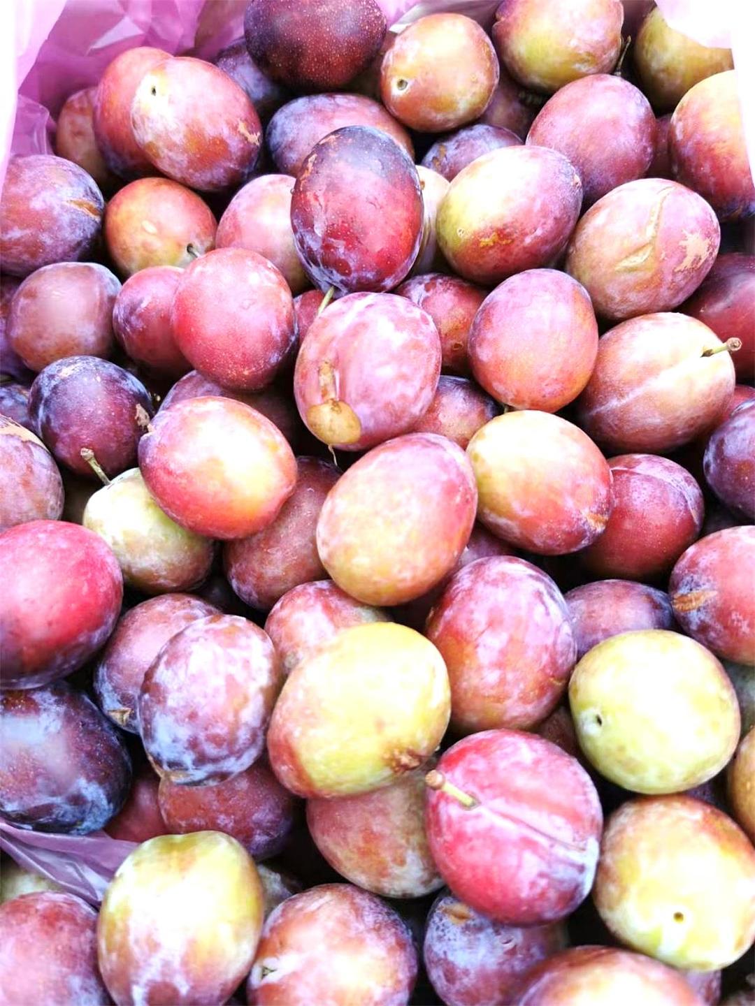 lm_image___2zfov swiper-item-image___2SBSc cover___2hGtr