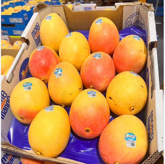 lm_image___2zfov swiper-item-image___2SBSc cover___2hGtr