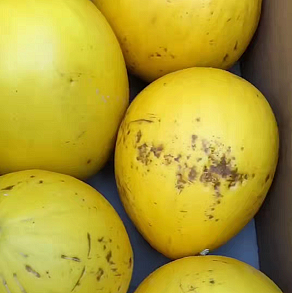 lm_image___2zfov swiper-item-image___2SBSc cover___2hGtr