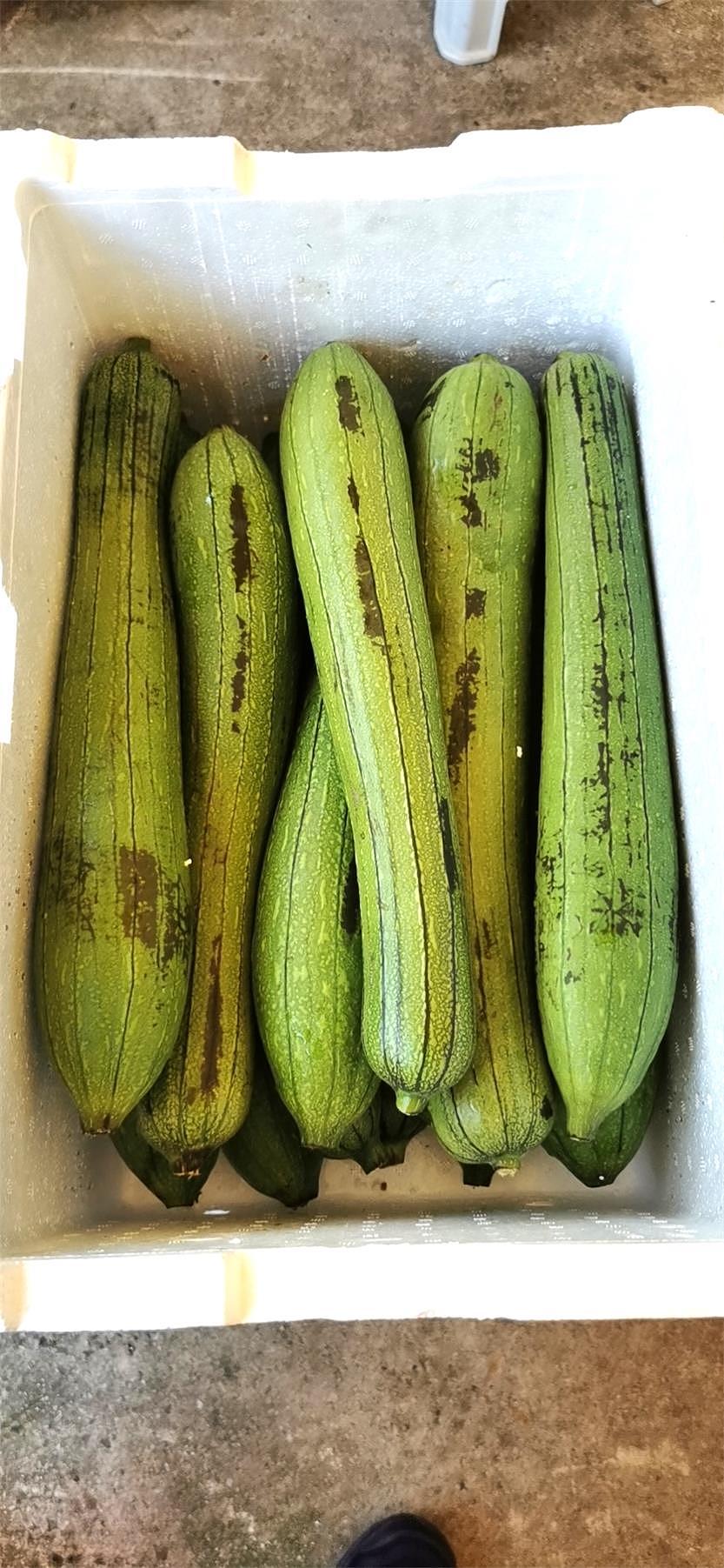 lm_image___2zfov swiper-item-image___2SBSc cover___2hGtr