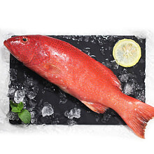 lm_image___2zfov swiper-item-image___2SBSc cover___2hGtr