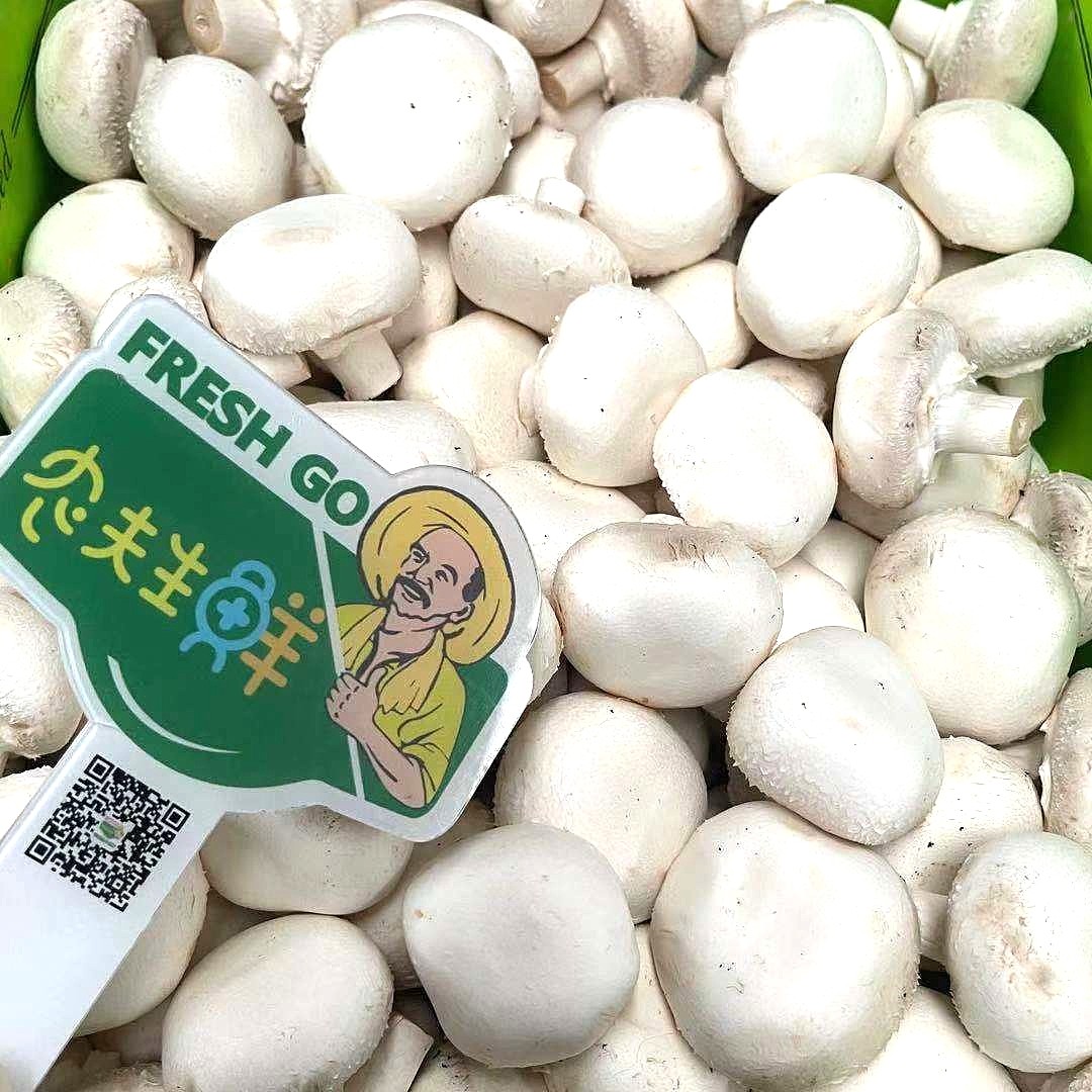 lm_image___2zfov swiper-item-image___2SBSc cover___2hGtr