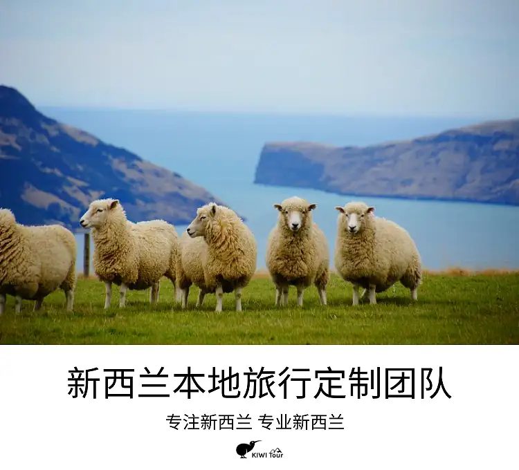 探索新西兰