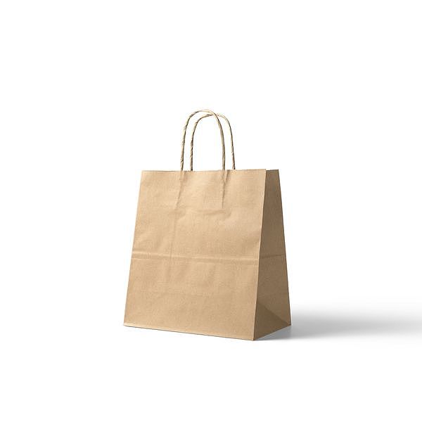 Twisted Handle Kraft Small Bag 250PCS/CTN