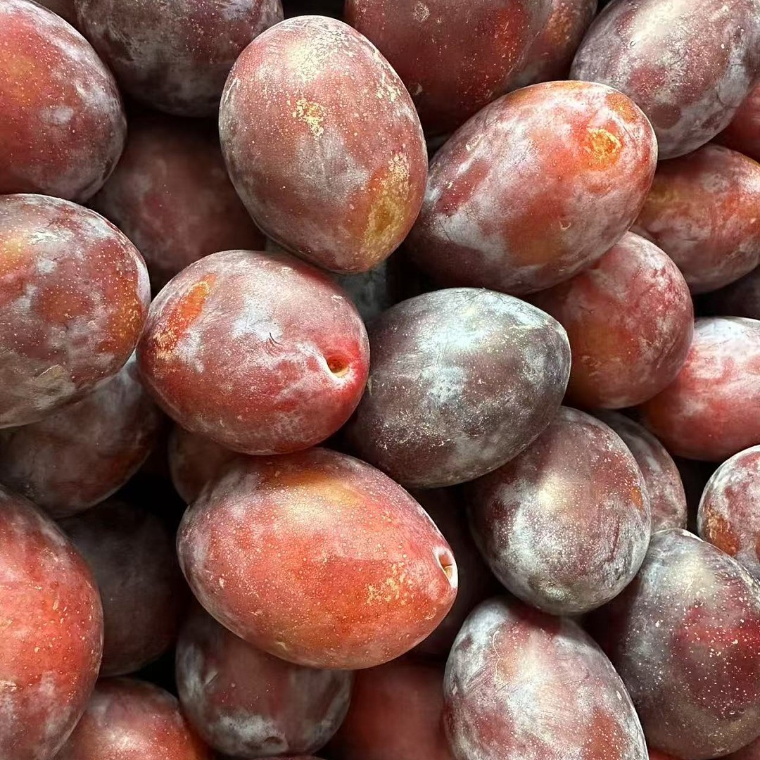 【整箱】超甜大号西梅 Sugar Plum 约10KG