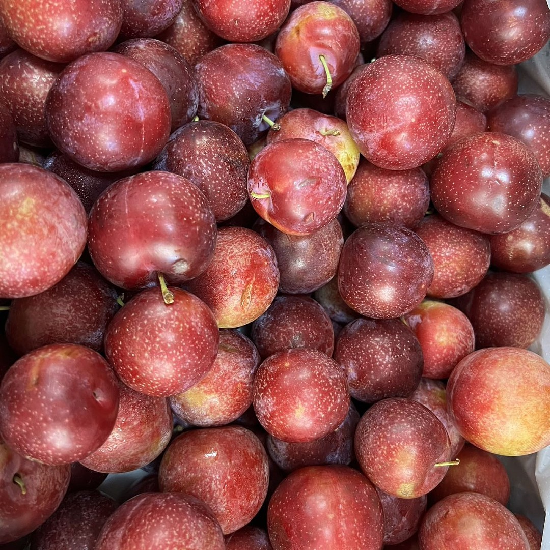 樱桃李 900G-1KG