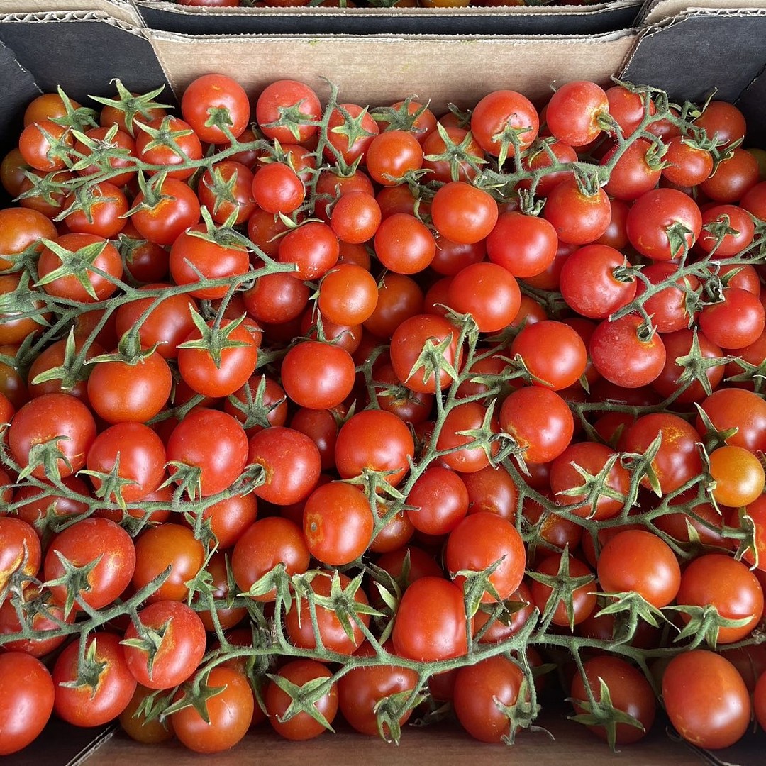 【整箱】带藤圆形小番茄 Cherry Truss Tomato 约5KG