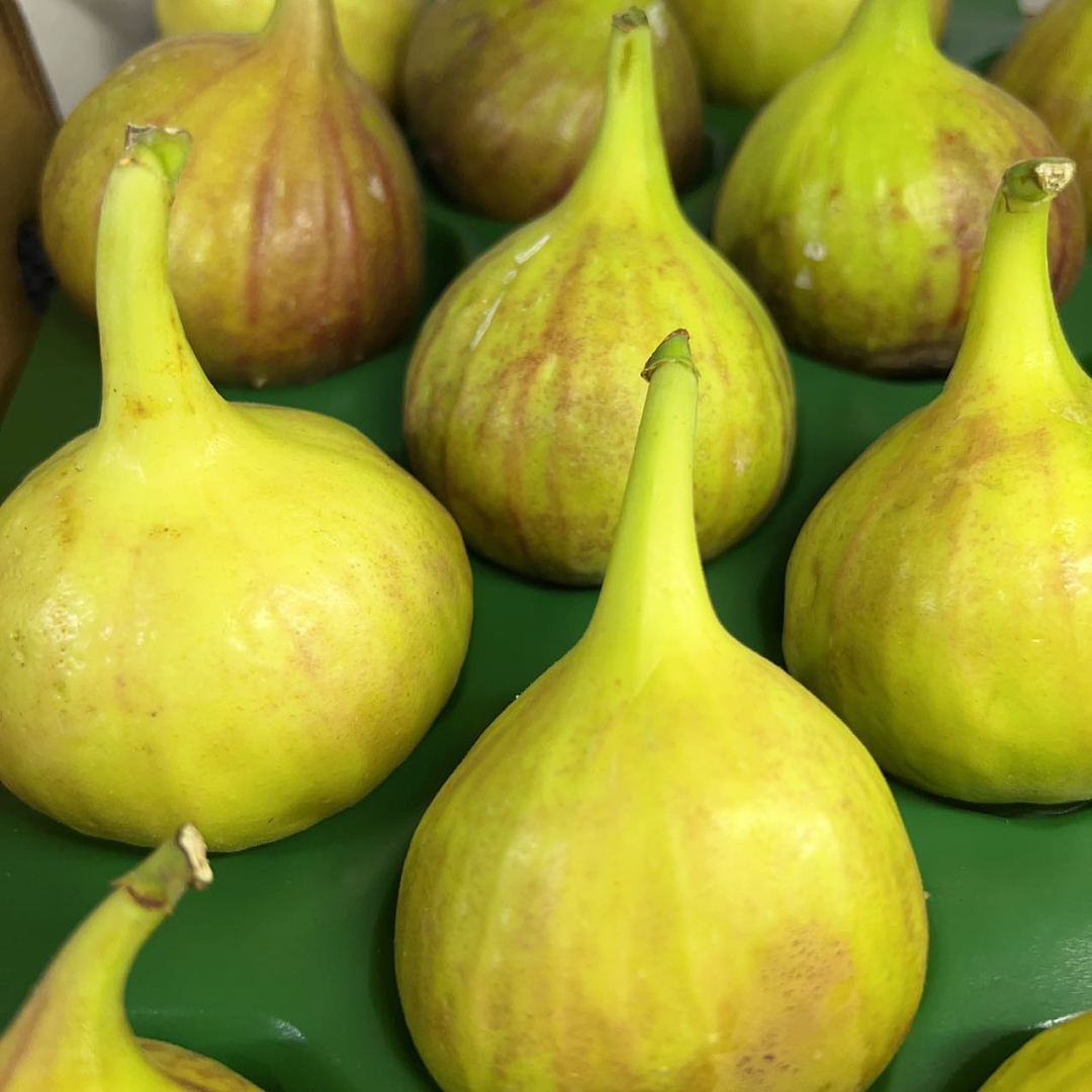 新鲜无花果 3颗 Figs