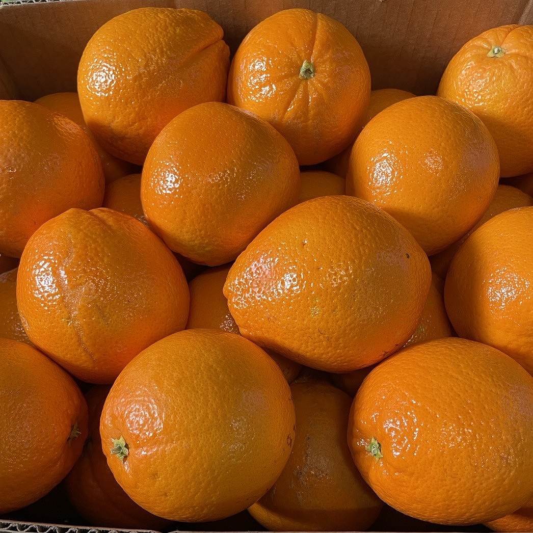 澳洲新鲜脐橙 Navel Orange 950G-1.05KG