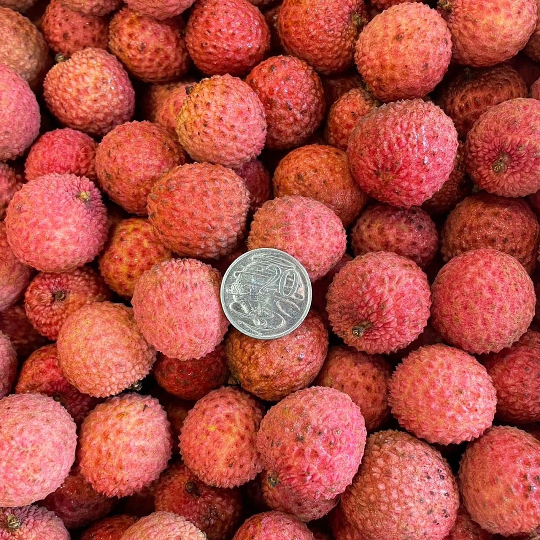 【整箱】澳洲新鲜桂味荔枝 约5KG