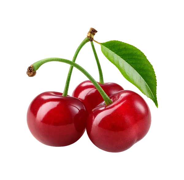 lm_image___2zfov  cover___2hGtr