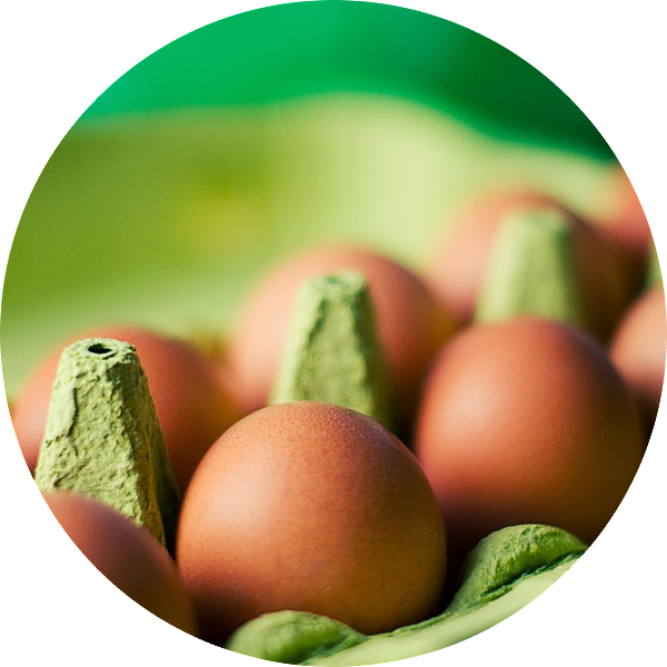 lm_image___2zfov navigation-img___1klTx cover___2hGtr