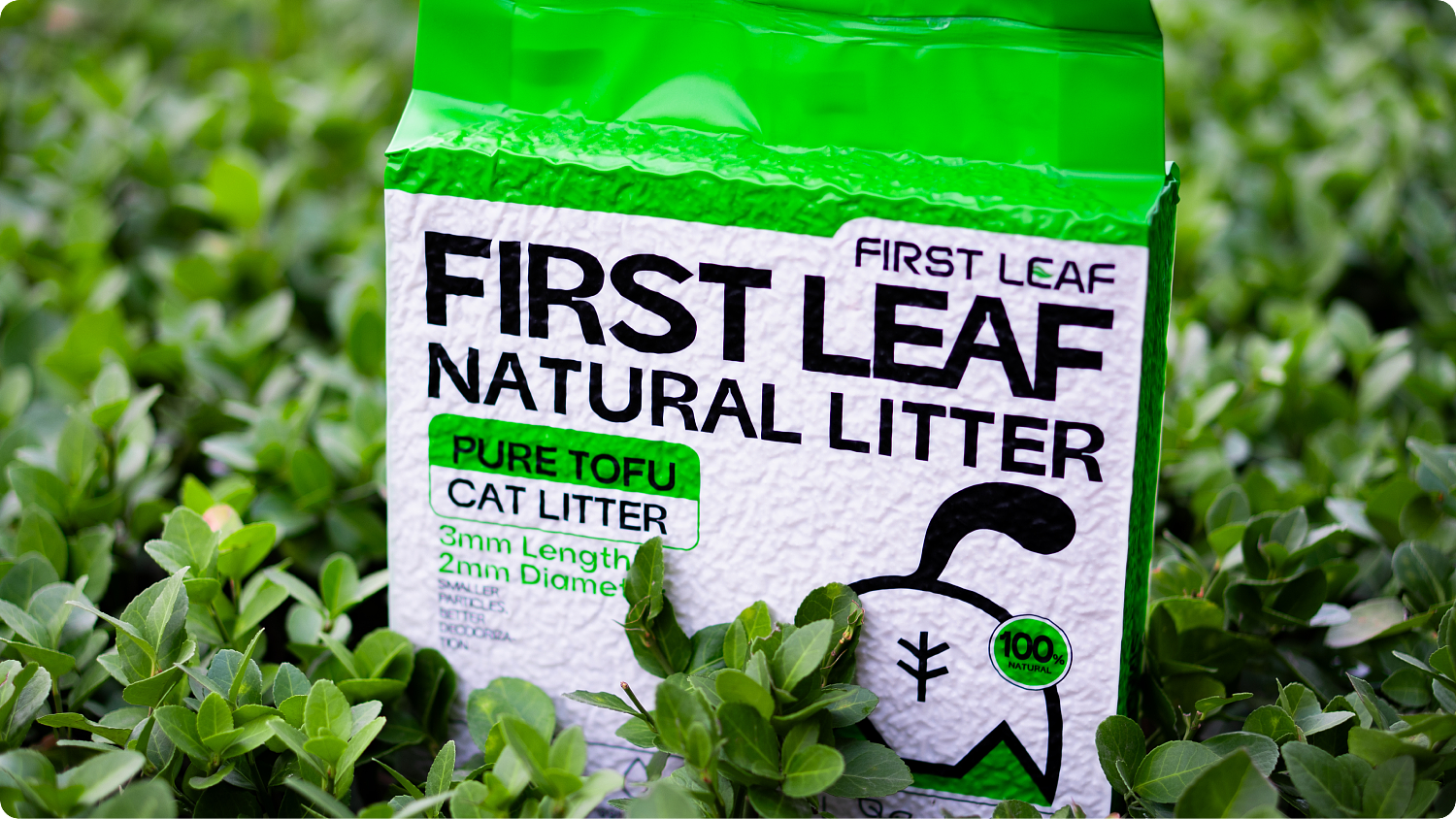 lm_image___2zfov swiper-item-img___1bCLM cover___2hGtr