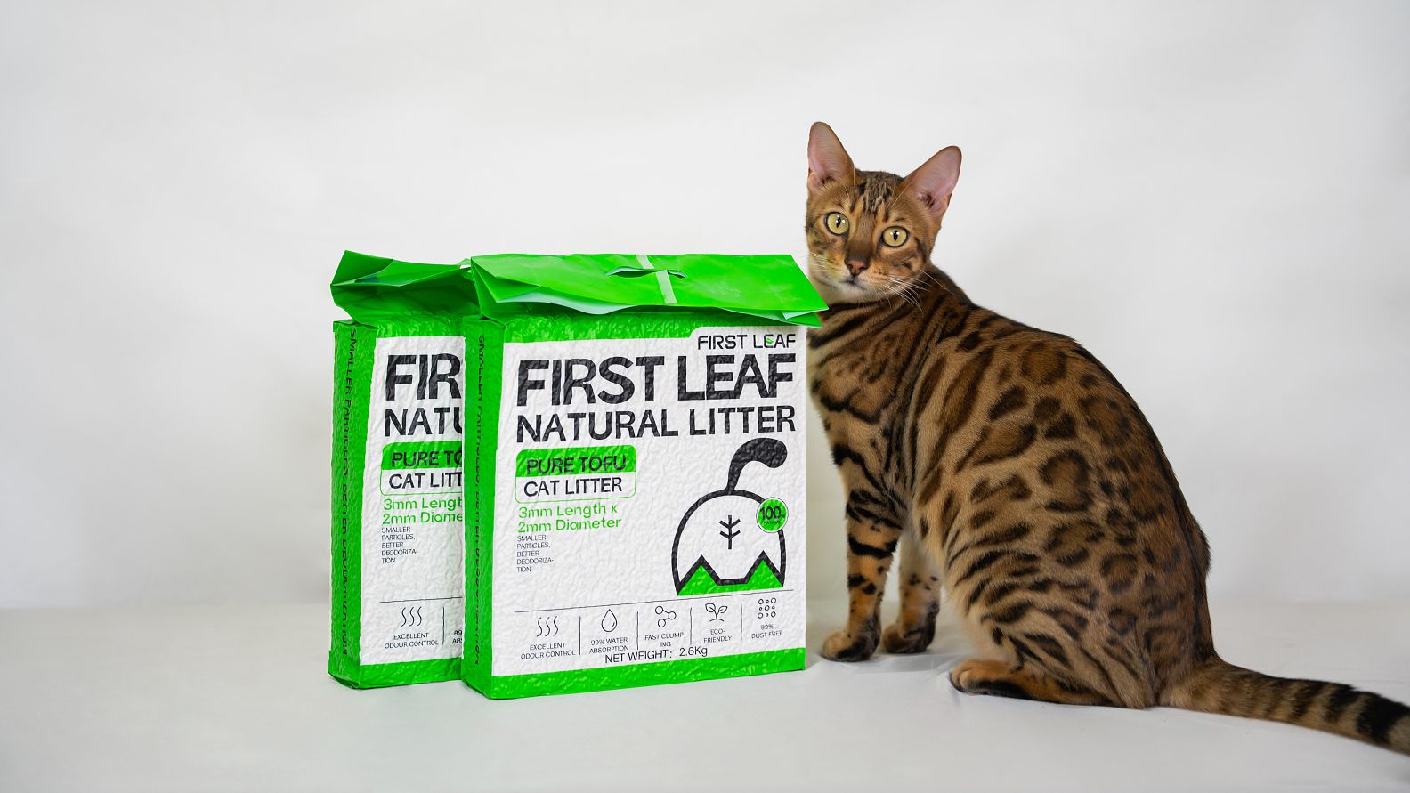 lm_image___2zfov  cover___2hGtr