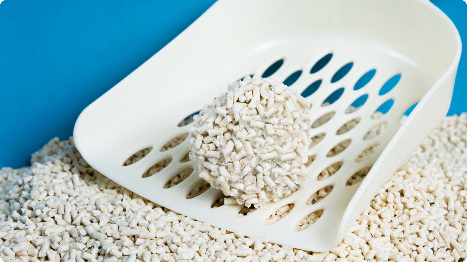 lm_image___2zfov swiper-item-img___1bCLM cover___2hGtr