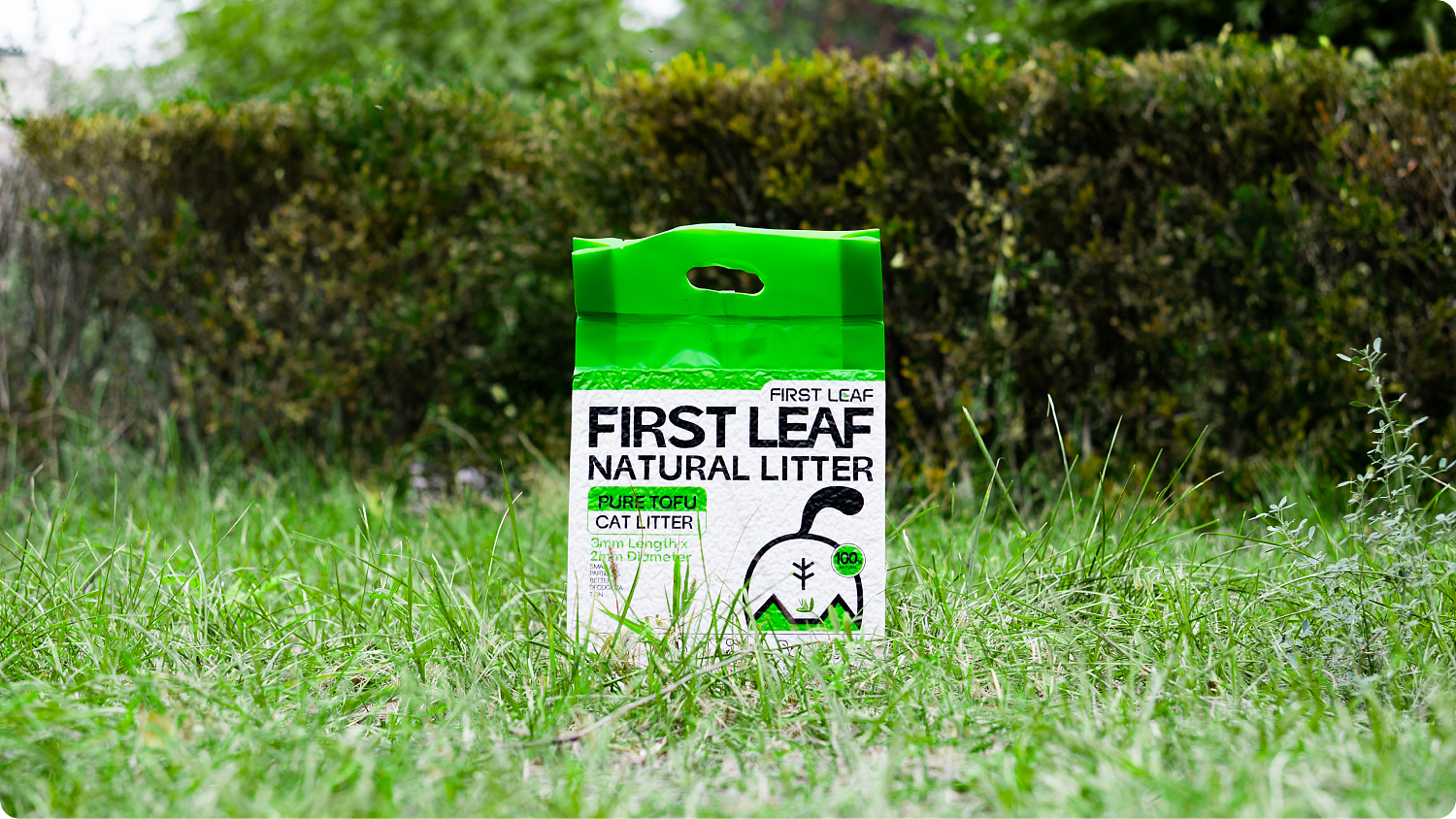 lm_image___2zfov swiper-item-img___1bCLM cover___2hGtr