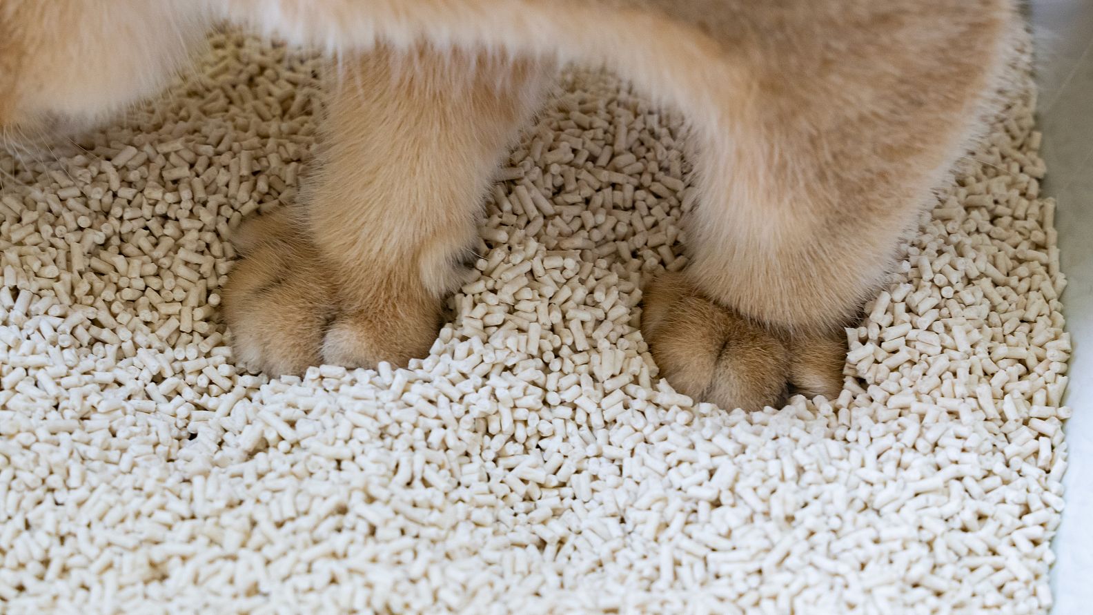 lm_image___2zfov  cover___2hGtr