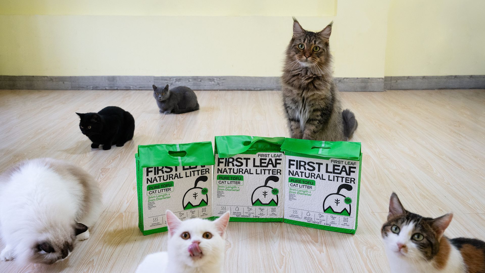 lm_image___2zfov swiper-item-img___1bCLM cover___2hGtr