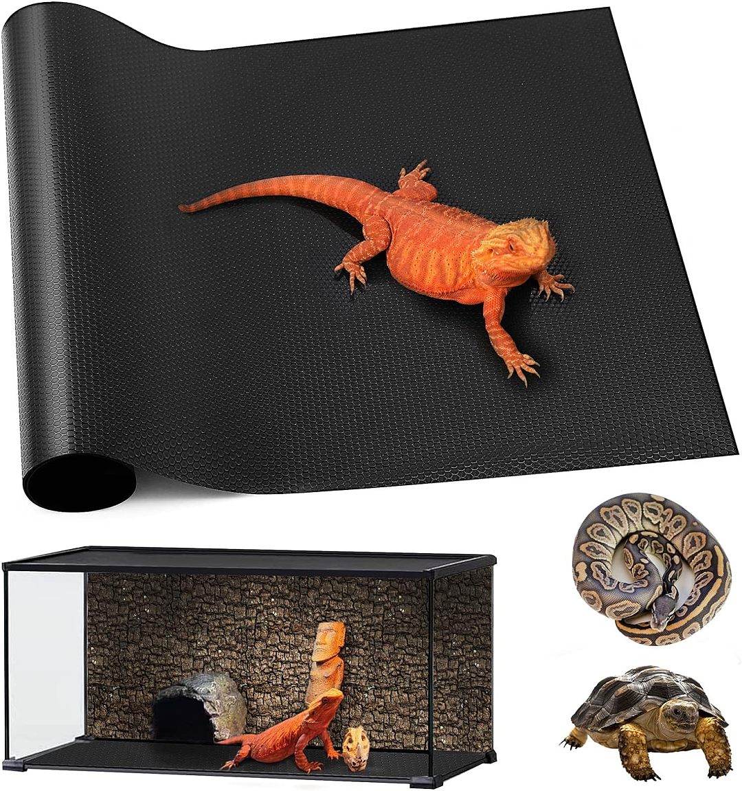 lm_image___2zfov swiper-item-image___2SBSc cover___2hGtr