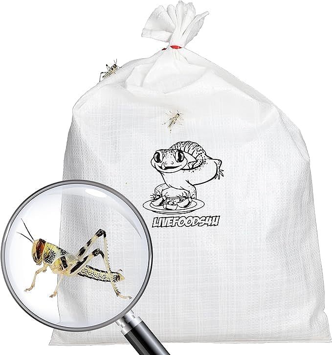 lm_image___2zfov swiper-item-image___2SBSc cover___2hGtr